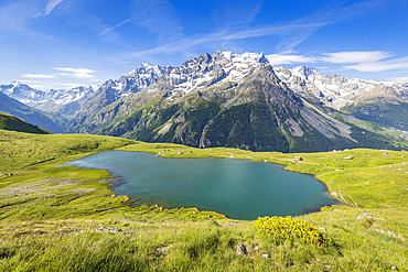 Lac du Pontet (1955 m) with La Meije (3983 m) in the background, upper Romanche valley, Villar-d'Arene, Hautes-Alpes, France