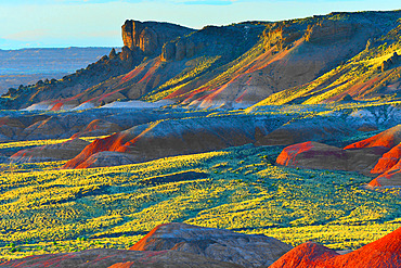 USA. Arizona. Petrified Forest National Park encompasses the Painted Desert known for its colorful lands.