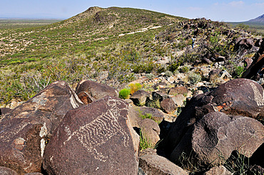 Petroglyphs Mogollon culture ( 1000-1450 ) Three Rivers Petroglyph Site. New-Mexico