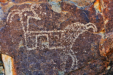 Petroglyphs Mogollon culture ( 1000-1450 ) Three Rivers Petroglyph Site. New-Mexico