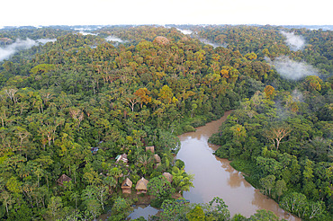 Equatorial forest canopy, Yasuni Park, Mandari Panga Lodge, Ecuador