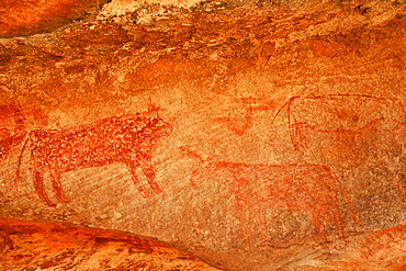 Cave paintings at the rock shelter of Agrour Amogjar discovered by french explorateur Theodore Monot. Atar. Adrar. Mauritania.