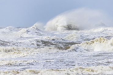 Waves during storm Pierrick, Cote d'Opale, Pas-de-Calais, France