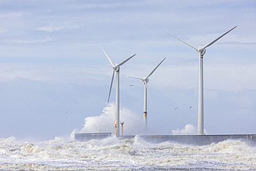 Waves hitting the wind turbines on the Carnot dyke in Boulogne-sur-mer, during storm Pierrick, Pas-de-Calais, Cote d'Opale, France