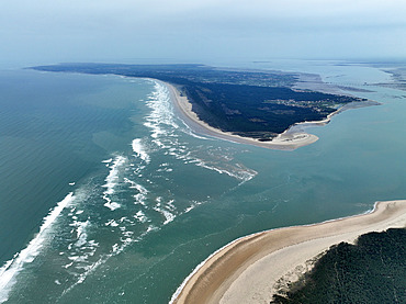 Pertuis de Maumusson, Ile d'Oleron, Wild coast, Charente-Maritime, France