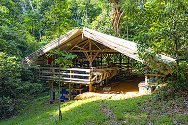 Camp inselberg, scientific station in the Nouragues nature reserve. Carbet storage on the Nouragues station, where all researchers can store their research equipment - Regina, French Guiana.