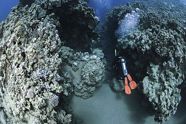 Underwater canyon, Marsa Bareika reef. Ras Muhammad National Park;Sharm Al Sheikh - Raas Mohammed). Sinai Peninsula. Red Sea, Egypt.