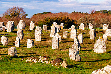 Alignements du Menec, Carnac, Morbihan, Brittany, France