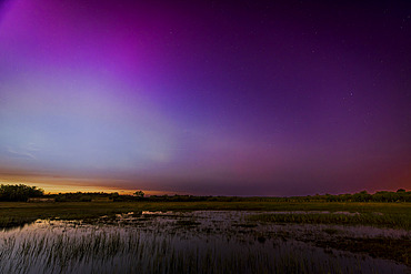 Aurora Borealis over a marsh, spring, Cote d'Opale, Pas de Calais, France