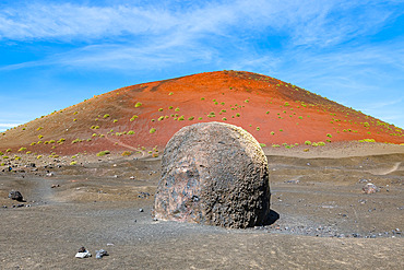 Volcanic bomb in lava field, in front of a red volcano, Montana Colorada, Lanzarote, Canary Islands, Spain