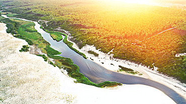 Huchet Current Nature Reserve and Dunes-du-Sud State Forest, Moliets Beach, Landes, Nouvelle Aquitaine, France