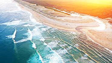 Huchet Current Nature Reserve and Dunes-du-Sud State Forest, Moliets Beach, Landes, Nouvelle Aquitaine, France