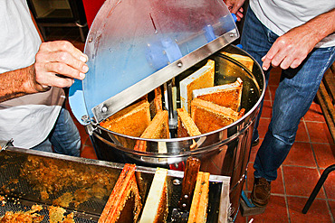 Honey harvest, honey extraction, here the hive frames, Sarthe, France