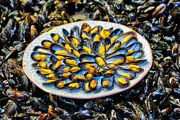 Penestin mussels, Mussel dish from Penestin, Morbihan, South Brittany, France