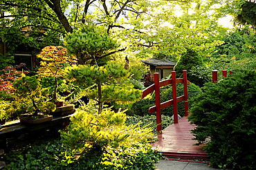 Japanese garden at the Jardin des Cotons in Alsace, France