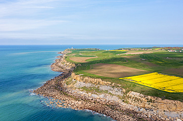 Cape Gris-Nez in spring, Opal Coast, Pas-de-Calais, France