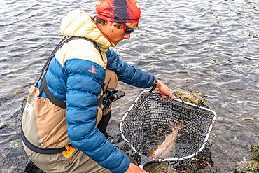 A salmon trout was caught. Irish Bay, Kerguelen Archipelago.