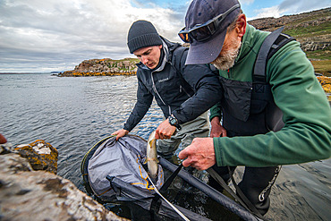 Trout recovery. Preparation of the trout marking workshop. Irish Bay, Kerguelen Archipelago.