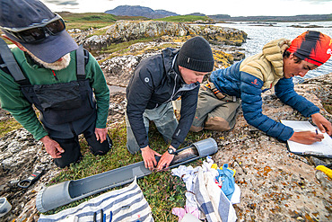 Measuring. Marking trout. Step 1: taking measurements and collecting a DNA sample from the animal. Irish Bay, Kerguelen Archipelago.