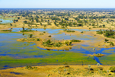 Breathtaking aerial view of the Okavango Delta near Maun in Botswana, showing vibrant wetlands, blue lagoons, and golden grasslands. Ideal for use in nature, travel, and wildlife photography projects.