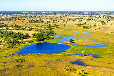 Breathtaking aerial view of the Okavango Delta near Maun in Botswana, showing vibrant wetlands, blue lagoons, and golden grasslands. Ideal for use in nature, travel, and wildlife photography projects.