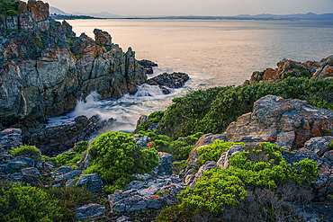 Coastal vegetation and rugged rocks frame Walker Bay?s shoreline in Hermanus, Western Cape. A scenic, unspoiled view of the Whale Coast?s dramatic geology and natural marine beauty.