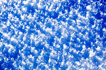 ice cristals winter snow nature Switzerland
