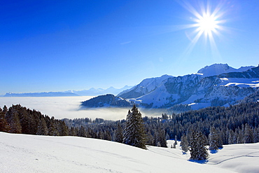 mountains alps panorama with Chrumfadeflue 2079 m Nunenen 2101 m Gantrisch 2175 m coniferous trees snow sun winter nature mood