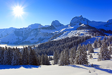 mountains alps panorama with Chrumfadeflue 2079 m Nunenen 2101 m Gantrisch 2175 m coniferous trees snow sun winter nature mood