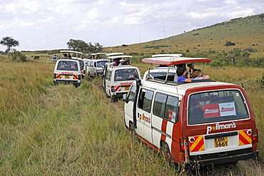 group of tourist buses safari buses Masai Mara National Park Kenya Africa Animals Nature Travel