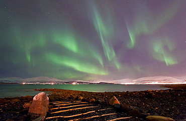 northern lights Aurora Borealis on the beach coast Tromso Kvaloya Troms county Nature Scenery