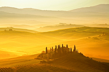 hilly landscape with wheat fields and cypresses surrounding traditional Tuscan stone house farmhouse nature morning mood