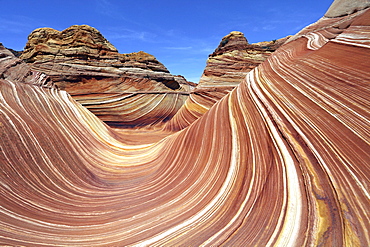 The Wave rock formation Coyote Butte North Vermillion Cliffs Wilderness Arizona USA