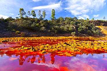 Rio Tinto red river reddish hue due to iron copper and sulfur dissolved in the water habitat with extreme conditions for life forms Andalusia