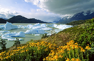 ice floes Lago Grey Torres del Paine National Park Patagonia Chile