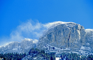 Alpsiegel snow covered summit