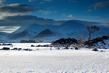 winterland West Highlands Scotland  