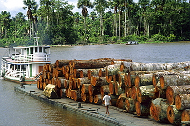 deforestation barge loaded with logs in Amazon estuary Marajo Island Para Brazil South America