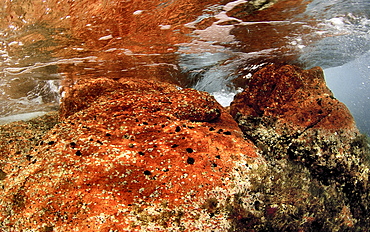 Red Rock Island Sardinia, Italy, Mediterranean.   (RR)  