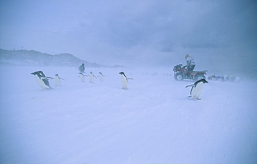 Snowdrift at Sir Douglas Mawson’s hut. Commonwealth Bay, East Antarctica.