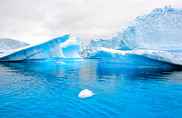 Blue ice and icebergs while traveling in Antarctica. PlÃ©neau Island, Antarctica