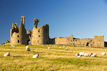 Dunstanburgh castle on Northumberlands coast near Craster.