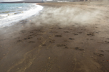 Deception Island in the South Shetland Islands off the Antarctic Peninsular is an active volcanic caldera, the beach is steaming from the geothermal heat.