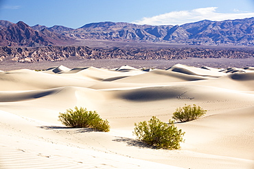 The Mesquite flat sand dunes in Death Valley which is the lowest, hottest, driest place in the USA, with an average annual rainfall of around 2 inches, some years it does not receive any rain at all.