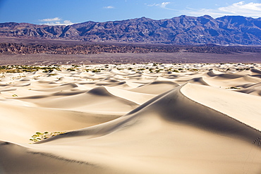 The Mesquite flat sand dunes in Death Valley which is the lowest, hottest, driest place in the USA, with an average annual rainfall of around 2 inches, some years it does not receive any rain at all.