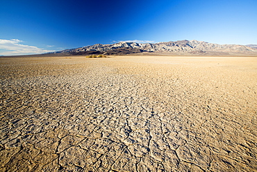 Death Valley is the lowest, hottest, driest place in the USA, with an average annual rainfall of around 2 inches, some years it does not receive any rain at all.