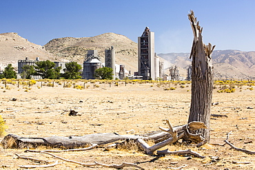 A cement works at Tehachapi Pass California, USA, with drought killed trees in the foreground. Cement production is one of the most carbon hungry industries on the planet, driving climate change and leading to drought.