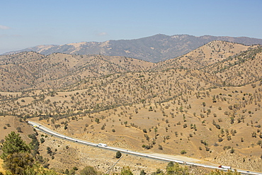 Drought killed trees near Tehachapi Pass, in California's four year long drought, USA.