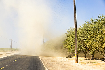 Almond groves in Wasco in the Central Valley of California that are vulnerable following the four year long drought in the Western USA. 80% of the world's almonds are grown in California, and it takes 1.1 gallons of water to grow each nut. Many farms have run out of water, and $2.2 Billion has been wiped off the agricultue sector annually. Currently one third of all children in California go to be hungry, as a direct result of job losses connected to the drought. 428,000 acres of farmland have been taken out of production as a result of the drought, in the Central Valley.