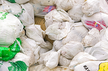 Piles of disposable nappies on Funafuti Atoll, Tuvalu, Pacific